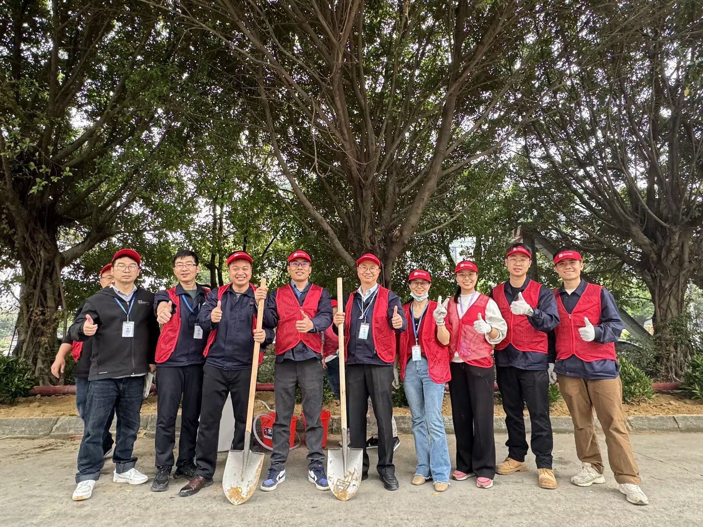 2024年BetMGM官网科技植一抹新绿 寄一份但愿植树节