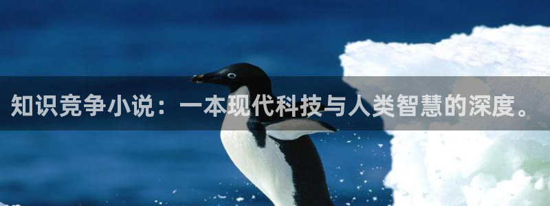 欢度巴士小说